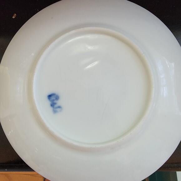 Bing & Grondahl B & G Antique Demitasse Tea cup & Saucer Rare - Picture 4 of 7